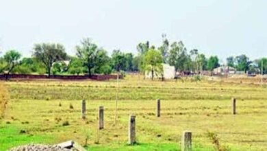 CG में कृषि जमीन पर नहीं बनेंगे बड़े मॉल, आवासीय क्षेत्रों में गोदाम-कबाड़खानों पर भी रोक CG में कृषि जमीन पर नहीं बनेंगे बड़े मॉल, आवासीय क्षेत्रों में गोदाम-कबाड़खानों पर भी रोक