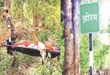 झीरम घाटी हत्याकांड: 10 दोषियों की फांसी के फैसले को हाईकोर्ट में चुनौती