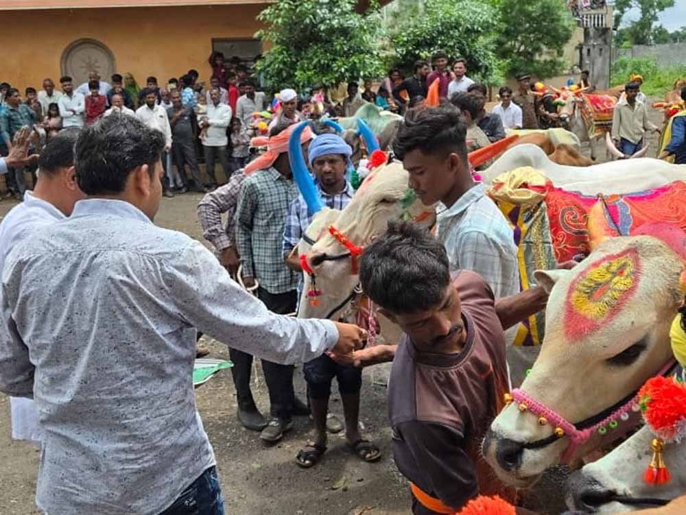 CG में पोला पर्व की धूम, CM विष्णुदेव साय कार्यक्रमों में होंगे शामिल CG में पोला पर्व की धूम, CM विष्णुदेव साय कार्यक्रमों में होंगे शामिल