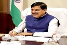 स्लीमनाबाद टनल का काम पूर्णता की ओर, शीघ्र ही रीवा जिले के खेतों को मिलेगा नर्मदा जल : मुख्यमंत्री डॉ. यादव