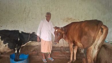 ’पीएम किसान सम्मान निधि की बचत से खरीदी पहली गाय, आज 10 गायों के साथ आत्मनिर्भर बने 75 वर्षीय परशुराम गुप्ता’