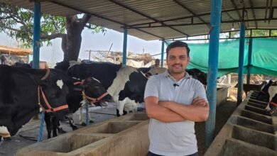 सेवा की कहानी: परंपरागत गौपालन को आधुनिक तकनीक का साथ, राजनाथ ने खड़ा किया सफल डेयरी व्यवसाय सेवा की कहानी: परंपरागत गौपालन को आधुनिक तकनीक का साथ, राजनाथ ने खड़ा किया सफल डेयरी व्यवसाय