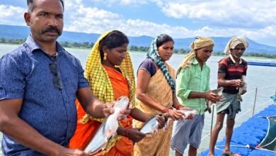 प्रधानमंत्री मत्स्य संपदा योजना से मल्हनिया जलाशय में बदली मछुआरों की जिंदगी