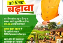 विशेष लेख- छत्तीसगढ़ में खेती ने पकड़ी नई रफ्तार, खेत से बाजार तक बदल रही तस्वीर