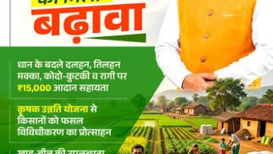 विशेष लेख- छत्तीसगढ़ में खेती ने पकड़ी नई रफ्तार, खेत से बाजार तक बदल रही तस्वीर