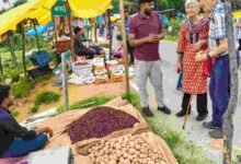 विदेशी पर्यटकों को आकर्षित कर रहा छत्तीसगढ़ का ग्रामीण पर्यटन मॉडल