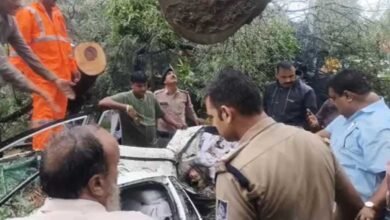 इंदौर में दर्दनाक हादसा: कार पर गिरा पेड़, डिप्टी कलेक्टर की मां की मौत; दो घायल इंदौर में दर्दनाक हादसा: कार पर गिरा पेड़, डिप्टी कलेक्टर की मां की मौत; दो घायल