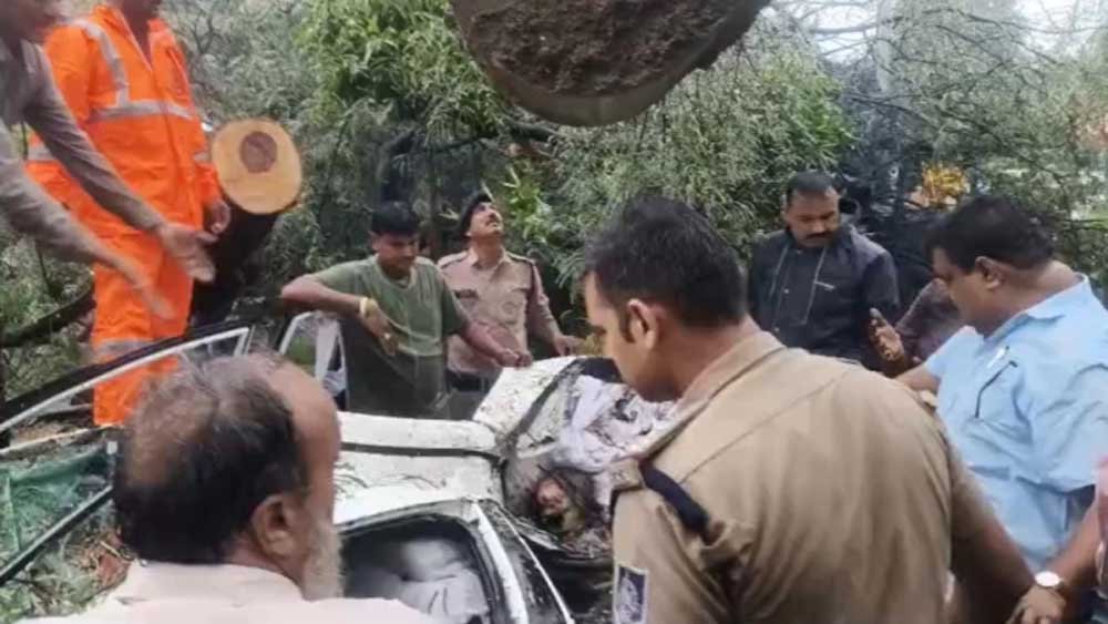 इंदौर में दर्दनाक हादसा: कार पर गिरा पेड़, डिप्टी कलेक्टर की मां की मौत; दो घायल इंदौर में दर्दनाक हादसा: कार पर गिरा पेड़, डिप्टी कलेक्टर की मां की मौत; दो घायल