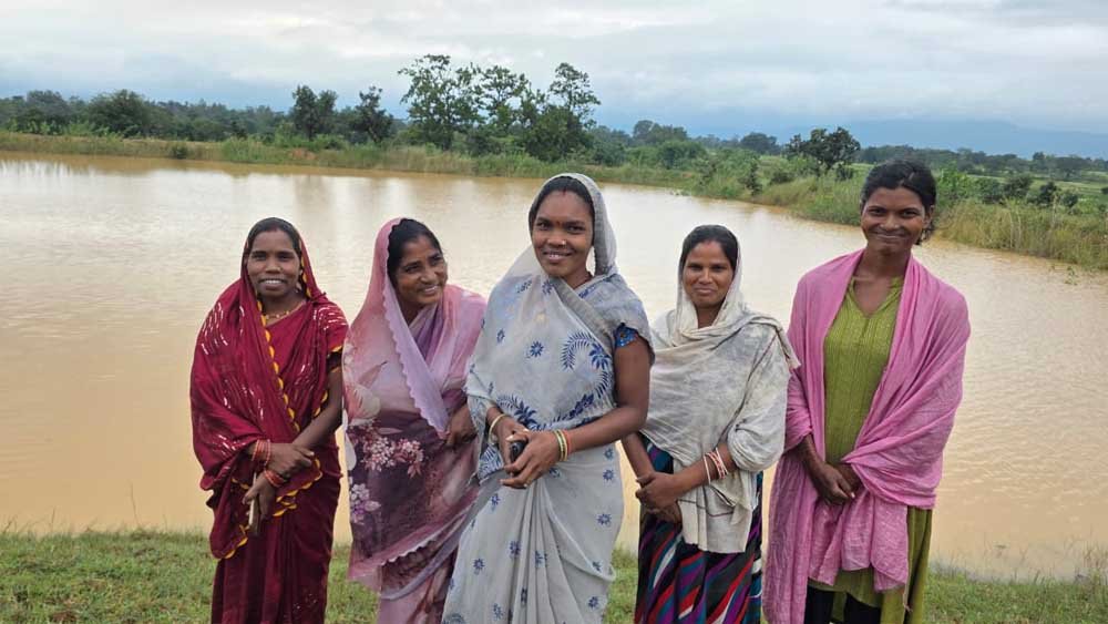 सेवा की कहानी: अमृत सरोवर बना महिलाओं की आजीविका का आधार, मछली पालन से आत्मनिर्भरता की ओर बढ़े कदम सेवा की कहानी: अमृत सरोवर बना महिलाओं की आजीविका का आधार, मछली पालन से आत्मनिर्भरता की ओर बढ़े कदम