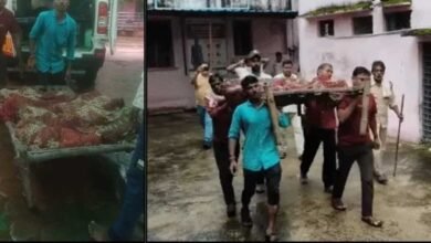 अशोकनगर में दर्दनाक हादसा: खेलते-खेलते कुएं में गिरे 4 मासूम, एक ही परिवार के सभी बच्चों की मौत अशोकनगर में दर्दनाक हादसा: खेलते-खेलते कुएं में गिरे 4 मासूम, एक ही परिवार के सभी बच्चों की मौत