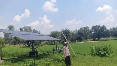 सौर सुजला योजना से बदली किसान चरण सिंह की खेती की तस्वीर सौर सुजला योजना से बदली किसान चरण सिंह की खेती की तस्वीर
