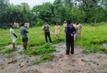 सुकमा वन क्षेत्र में बाघ की मौजूदगी के संकेत, ग्रामीणों को सतर्क रहने की अपील