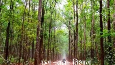 वन विभाग के 3630 दैनिक वेतनभोगियों के लिए बड़ी खुशखबरी, नियमितीकरण की प्रक्रिया शुरू