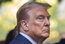 Trump Loyalty Test पर अमेरिकी कोर्ट की रोक, सरकारी नौकरी के आवेदकों से नीतियों पर सवाल पूछने पर पाबंदी