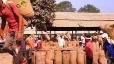 खेत से बाजार तक बदलेगा किसानों का सफर, ट्रेड शो में ब्रांडिंग और डिजिटल बिक्री का मंत्र