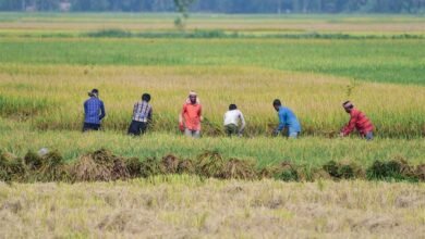 एग्री विस्टा–2026 में कृषि नवाचार और उद्यमिता पर जोर एग्री विस्टा–2026 में कृषि नवाचार और उद्यमिता पर जोर