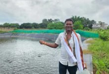 सेवा की कहानी: खाली पड़ी जमीन पर बायोफ्लॉक मछली पालन से विप्लब ने बनाई आय की नई राह सेवा की कहानी: खाली पड़ी जमीन पर बायोफ्लॉक मछली पालन से विप्लब ने बनाई आय की नई राह