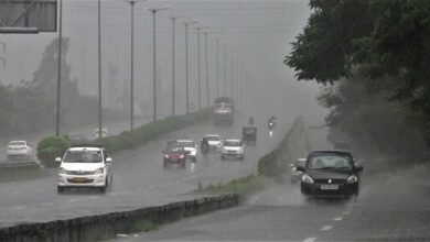 विदाई से पहले MP में फिर बरसेगा मानसून, 19 सितंबर के बाद नया सिस्टम सक्रिय विदाई से पहले MP में फिर बरसेगा मानसून, 19 सितंबर के बाद नया सिस्टम सक्रिय