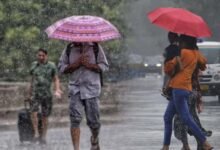छत्तीसगढ़ में अभी जारी रहेगा मानसून, बिलासपुर में सामान्य से ज्यादा बारिश; 11 सितंबर से फिर अलर्ट
