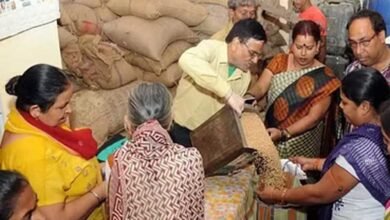 MSP पर धान, ज्वार और बाजरा खरीदी के लिए पंजीयन शुरू, 10 अक्टूबर तक मिलेगा मौका MSP पर धान, ज्वार और बाजरा खरीदी के लिए पंजीयन शुरू, 10 अक्टूबर तक मिलेगा मौका