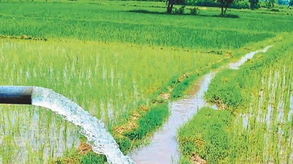 जल संसाधन विभाग द्वारा सिंचाई योजनाओं के 36 कार्यों के लिए 146.43 करोड़ रूपए स्वीकृत जल संसाधन विभाग द्वारा सिंचाई योजनाओं के 36 कार्यों के लिए 146.43 करोड़ रूपए स्वीकृत
