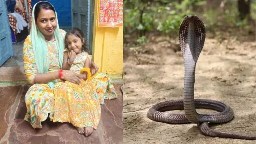 सांप के डसने से 4 साल की बच्ची की मौत, परिजनों ने अस्पताल पर लगाए गंभीर आरोप सांप के डसने से 4 साल की बच्ची की मौत, परिजनों ने अस्पताल पर लगाए गंभीर आरोप