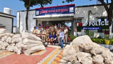 मध्यप्रदेश पुलिस की बड़ी कार्रवाई, अलीराजपुर में 20 क्विंटल गांजे के पौधे जब्त; ₹1 करोड़ की संपत्ति पर एक्शन मध्यप्रदेश पुलिस की बड़ी कार्रवाई, अलीराजपुर में 20 क्विंटल गांजे के पौधे जब्त; ₹1 करोड़ की संपत्ति पर एक्शन