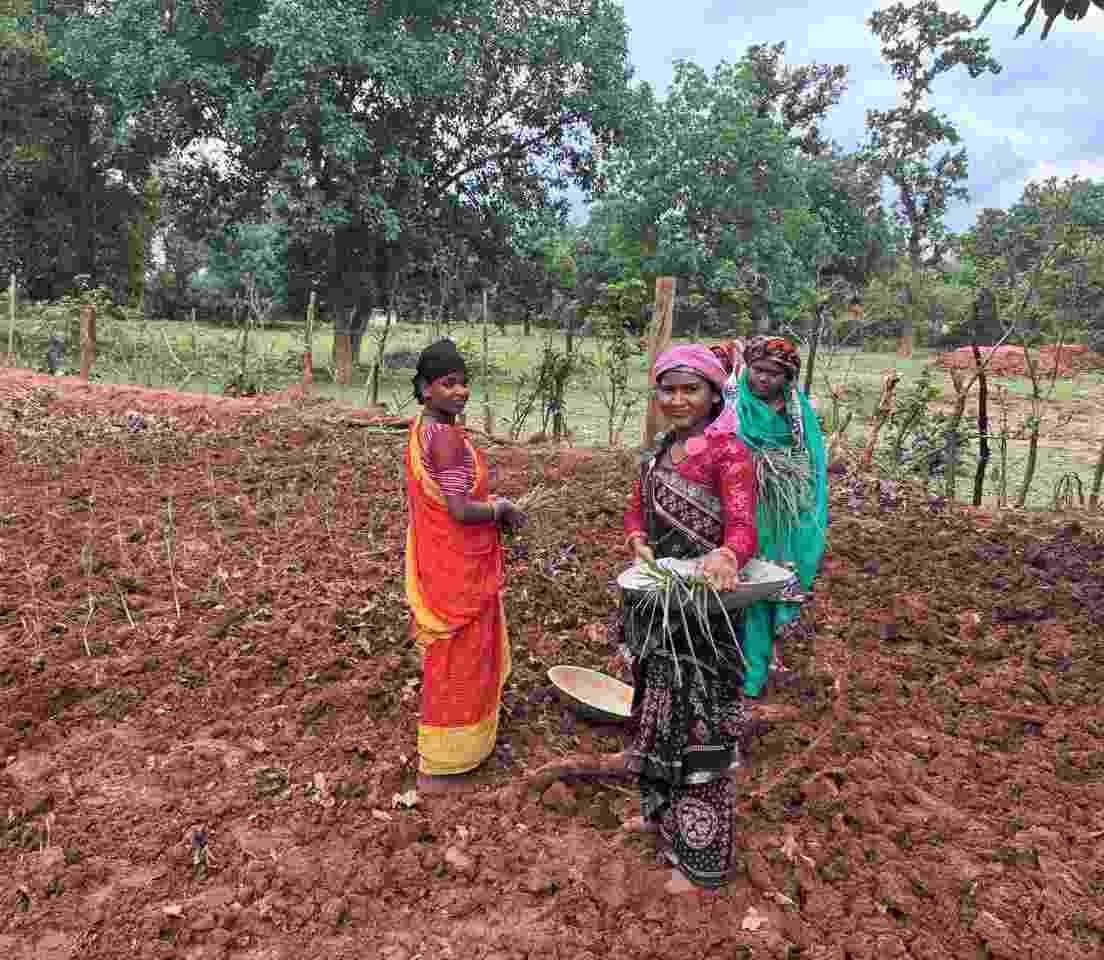 लेमन ग्रास की खुशबू से महक रही आत्मनिर्भरता, जीपीएम की महिलाएं बढ़ रहीं ‘लखपति दीदी’ बनने की राह पर लेमन ग्रास की खुशबू से महक रही आत्मनिर्भरता, जीपीएम की महिलाएं बढ़ रहीं ‘लखपति दीदी’ बनने की राह पर
