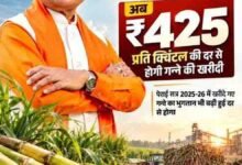 किसानों को अब गन्ने का 425 रुपये प्रति क्विंटल की दर से होगा भुगतान,नई दर 2025-26 सत्र से ही लागू