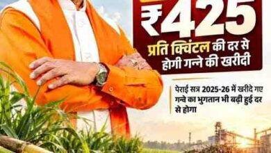 किसानों को अब गन्ने का 425 रुपये प्रति क्विंटल की दर से होगा भुगतान,नई दर 2025-26 सत्र से ही लागू किसानों को अब गन्ने का 425 रुपये प्रति क्विंटल की दर से होगा भुगतान,नई दर 2025-26 सत्र से ही लागू