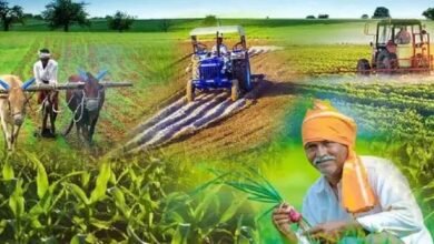 बिहार के DMI पटना के छात्र पंजाब के गांवों में सीखेंगे विकास प्रबंधन के गुर, चार हफ्ते रहेगा प्रवास