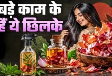 प्याज के छिलके फेंकने की गलती न करें, पौधों से लेकर किचन तक इन 5 तरीकों से आएंगे काम