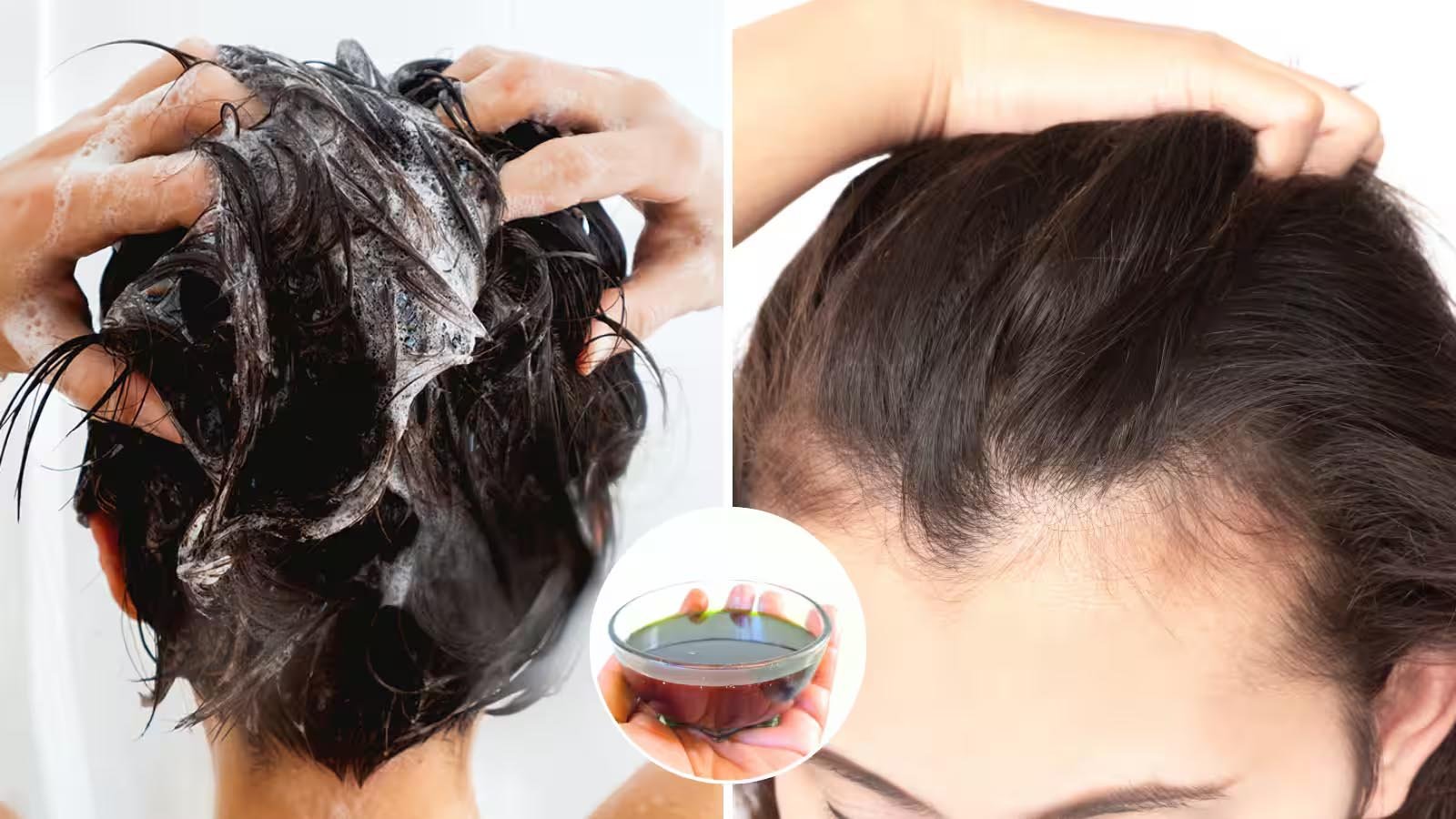 बाल धोने से पहले या बाद में कब लगाएं तेल? जानें मुलायम और चमकदार बालों के लिए सही तरीका बाल धोने से पहले या बाद में कब लगाएं तेल? जानें मुलायम और चमकदार बालों के लिए सही तरीका