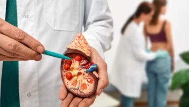 किडनी की बीमारी से दिल पर कैसे पड़ता है असर? हाई BP से हार्ट फेल्योर तक, जानें पूरा कनेक्शन किडनी की बीमारी से दिल पर कैसे पड़ता है असर? हाई BP से हार्ट फेल्योर तक, जानें पूरा कनेक्शन