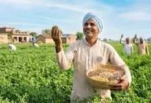 झारखंड में किसानों के लिए बड़ी राहत, सिर्फ 1 रुपये में रबी फसल बीमा का रजिस्ट्रेशन शुरू