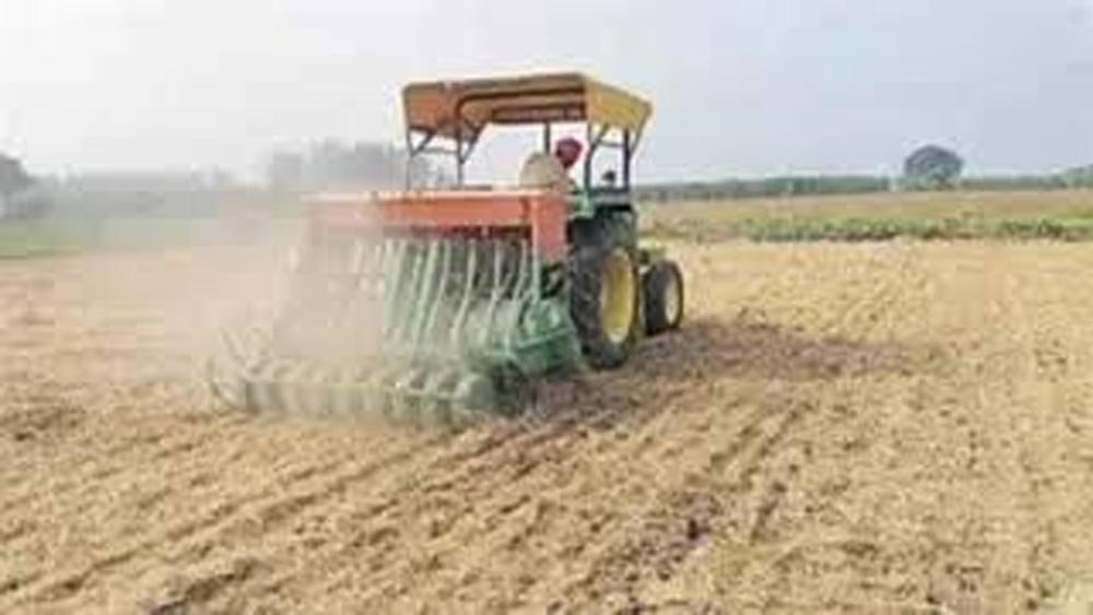 बिहार के किसानों के लिए कृषि विश्वविद्यालय की सलाह, 15 नवंबर तक गेहूं की बुआई पूरी करने पर जोर बिहार के किसानों के लिए कृषि विश्वविद्यालय की सलाह, 15 नवंबर तक गेहूं की बुआई पूरी करने पर जोर