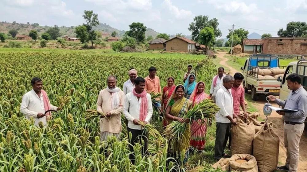 झारखंड में रागी की खेती से किसानों की बढ़ी कमाई, ₹33 किलो बिक रहा मड़ुआ; कम लागत में अच्छा मुनाफा