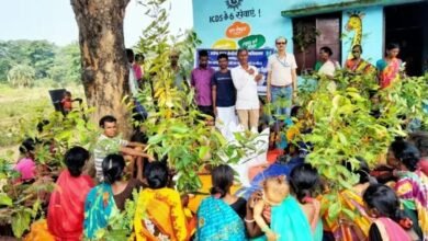 जमुई में औषधीय खेती से आत्मनिर्भर बनेंगी आदिवासी महिलाएं, 50 से अधिक को प्रशिक्षण