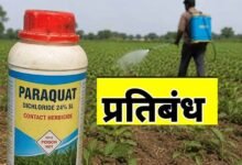 राज्य शासन ने पैराक्वेट डाइक्लोराइड के उपयोग पर लगाया प्रतिबन्ध