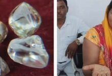 पन्ना में चमकी गुड्डी की किस्मत, एक ही खदान से मिले 4 हीरे; कीमत करीब 10 लाख
