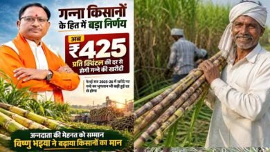छत्तीसगढ़ में गन्ना मूल्य ₹425 प्रति क्विंटल, देश में सबसे ज्यादा दर देने का दावा छत्तीसगढ़ में गन्ना मूल्य ₹425 प्रति क्विंटल, देश में सबसे ज्यादा दर देने का दावा