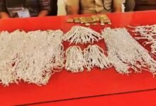 बैग लेकर घूम रहा था शख्स, तलाशी में निकली 36 लाख की चांदी; अफसर भी हैरान
