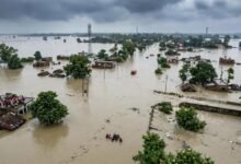 बिहार में बाढ़ से 10,671 करोड़ का नुकसान, 82 हजार हेक्टेयर में फसल बर्बाद; 26 लोगों की मौत