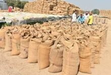 छत्तीसगढ़ में धान खरीदी की तैयारी तेज, किसानों को नहीं होगी परेशानी