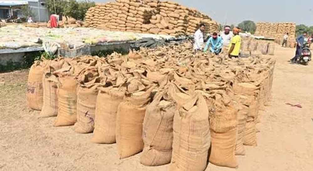 छत्तीसगढ़ में धान खरीदी की तैयारी तेज, किसानों को नहीं होगी परेशानी छत्तीसगढ़ में धान खरीदी की तैयारी तेज, किसानों को नहीं होगी परेशानी