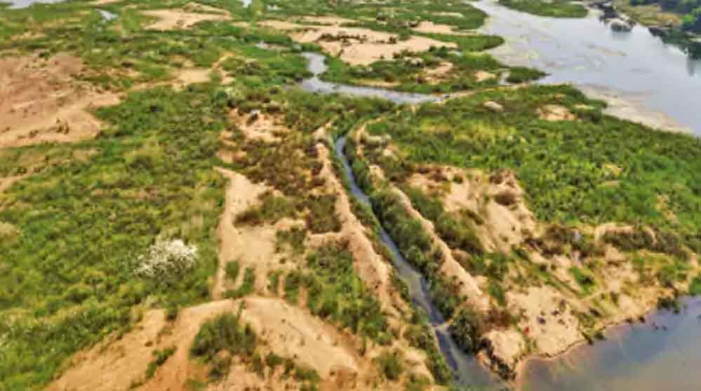 तवा नदी सूखी, रेत में उगी झाड़ियां; डैम के गेट नहीं खुलने से खेती पर संकट तवा नदी सूखी, रेत में उगी झाड़ियां; डैम के गेट नहीं खुलने से खेती पर संकट