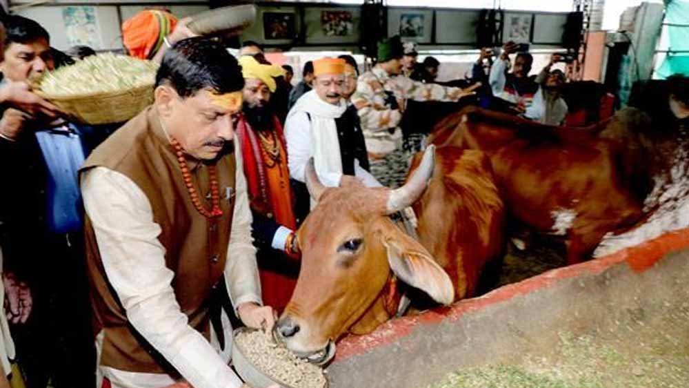 भोपाल में आदर्श गौ शाला स्थापित करने के कार्य को शीघ्र पूर्ण करें: मुख्यमंत्री डॉ. यादव भोपाल में आदर्श गौ शाला स्थापित करने के कार्य को शीघ्र पूर्ण करें: मुख्यमंत्री डॉ. यादव