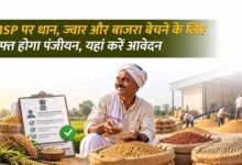धान, ज्वार और बाजरा उपार्जन के लिए रिकॉर्ड पंजीयन, 10 अक्टूबर तक मिलेगा मौका