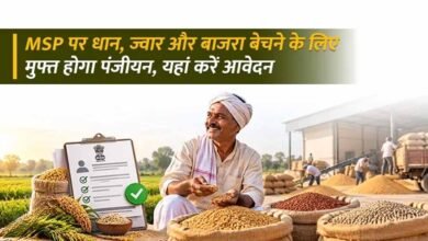 धान, ज्वार और बाजरा उपार्जन के लिए रिकॉर्ड पंजीयन, 10 अक्टूबर तक मिलेगा मौका धान, ज्वार और बाजरा उपार्जन के लिए रिकॉर्ड पंजीयन, 10 अक्टूबर तक मिलेगा मौका