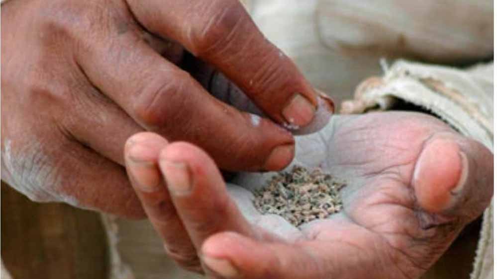 तंबाकू चबाने वालों के लिए बड़ा खतरा! 2.51 लाख मौतें, 24.1 करोड़ लोग प्रभावित तंबाकू चबाने वालों के लिए बड़ा खतरा! 2.51 लाख मौतें, 24.1 करोड़ लोग प्रभावित